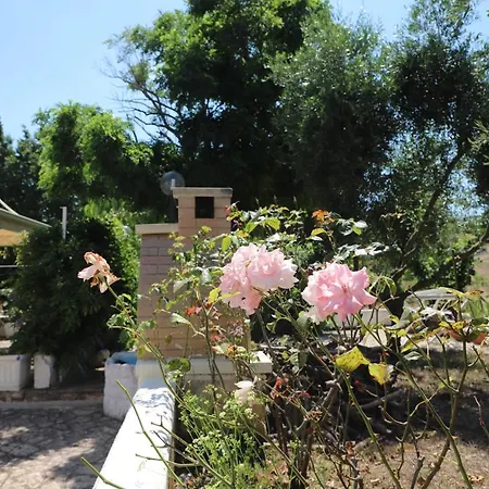 Trulli Anna Ferienhaus Cisternino